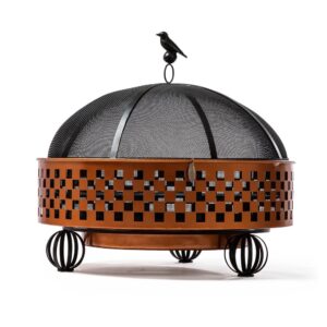 Check It Out Fire Pit