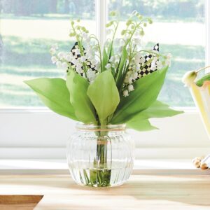 Lily Of The Valley Fresh Picks
