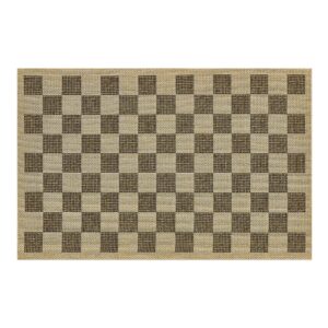 Checked Indoor/Outdoor Rug