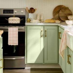 Green Check Linen Dish Towel – Pink