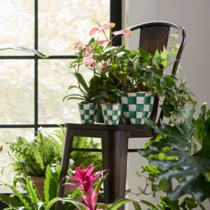 Rosy Check Herb Pots, Set of 3 – Emerald Check